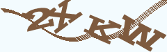 验证码